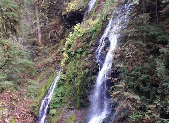 washington/the-blue-mountains/attraction/boulder-river-trail