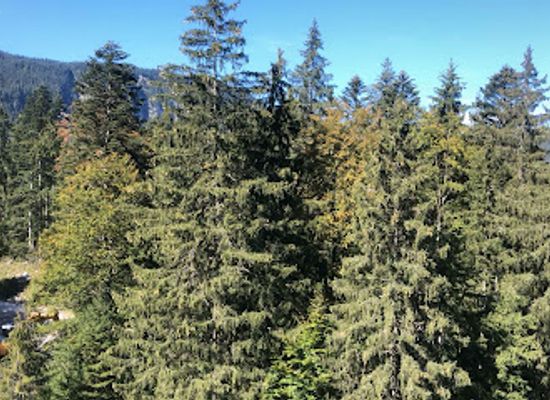 germany/zugspitze/attraction/berg-brunnen-am-eibsee-alm