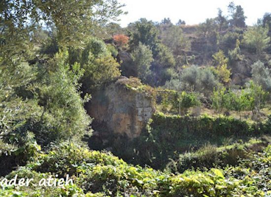 jordan/ajloun-highlands/attraction/wadi-al-faghoushieh