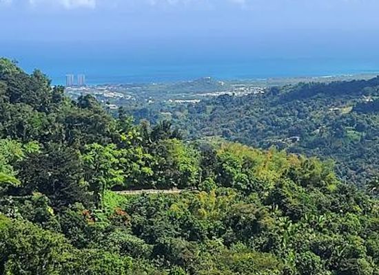 puerto-rico/carolina/attraction/el-yunque