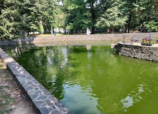 romania/maramures/attraction/queen-maria-municipal-park