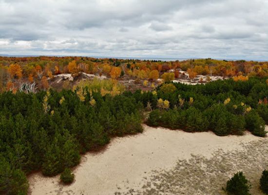 michigan/northern-michigan/attraction/houdek-dunes-natural-area-the-leelanau-conservancy