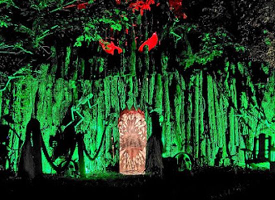 ohio/scioto-valley/attraction/terror-in-the-trees-haunted-attraction