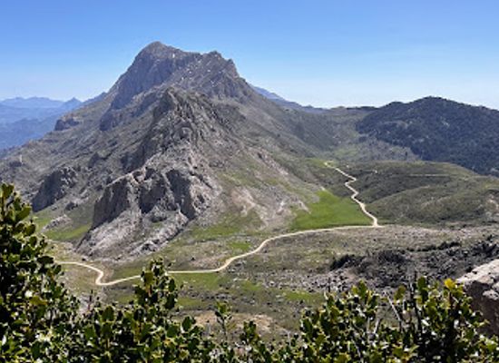 algeria/kabylia/attraction/tikjda-national-park
