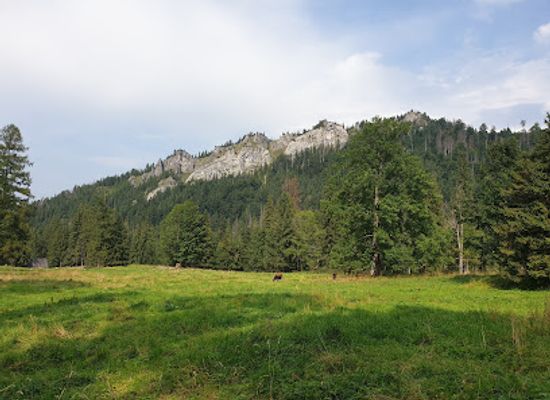 poland/tatra-mountains/attraction/spichlerz-zamoyscy-i-ich-dzielo-ekspozycja-muzealna-tatrzanskiego-parku-narodowego-tpn