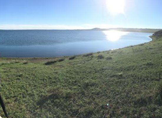 mongolia/ikh-nuur-basin/attraction/ogii-lake