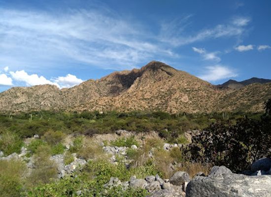 argentina/salta-province/attraction/el-divisadero