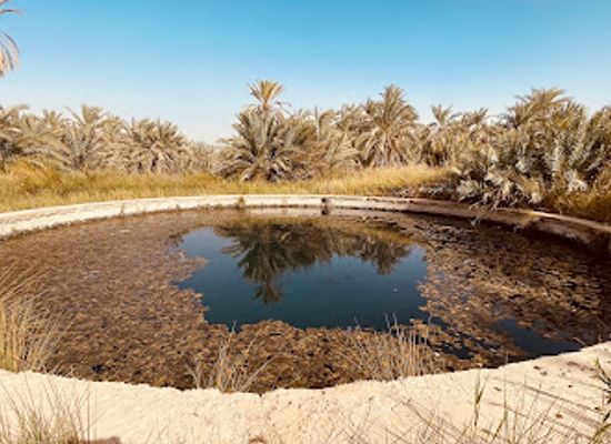 egypt/siwa-oasis/attraction/a-spring