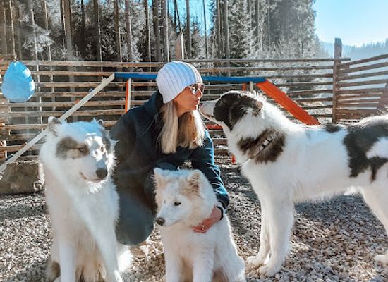 ukraine/bukovel/attraction/sobachi-progulyanki-na-haski