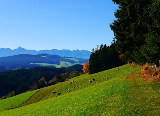 switzerland/emmental/attraction/aussichtsturm-chuderhusi