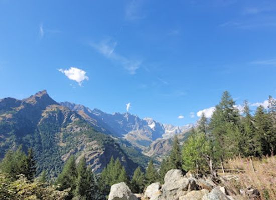 italy/cervinia/attraction/bosco-di-servaz