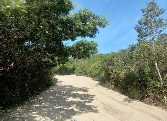 brazil/jericoacoara/attraction/lagoa-preta-escura