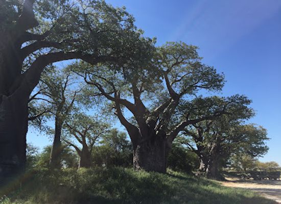 botswana/makgadikgadi-pans/attraction/nxai-pan