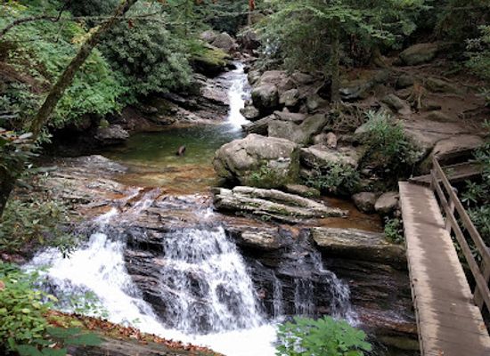 north-carolina/pisgah-national-forest/attraction/skinny-dip-falls-trailhead