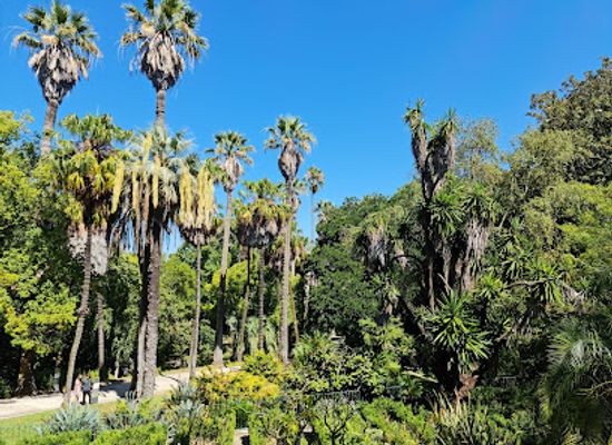 portugal/lisbon-coast/attraction/botanical-garden-of-lisbon
