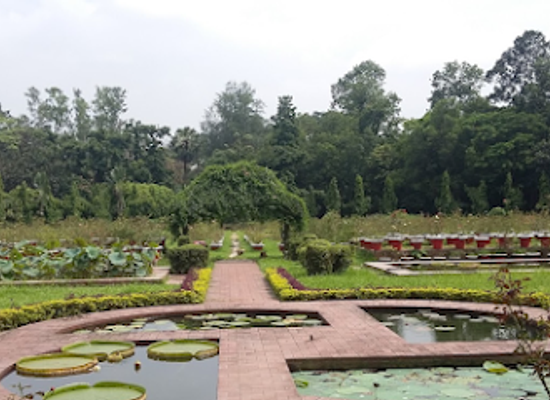 bangladesh/madhupur-tract/attraction/national-botanical-garden