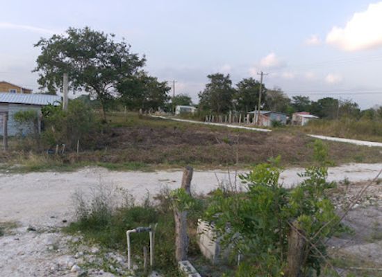 belize/orange-walk-town/attraction/treeland-park