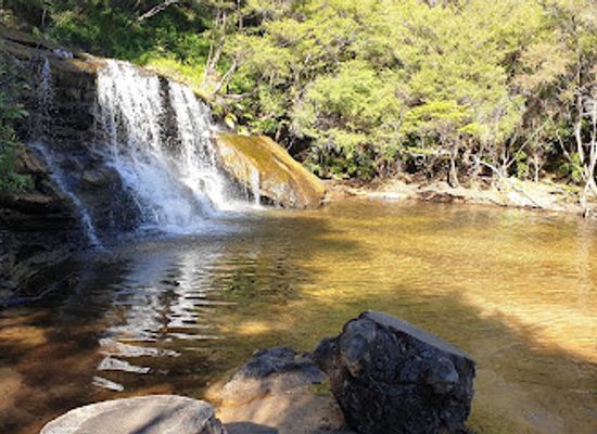 australia/blue-mountains-national-park/attraction/wentworth-pass-loop-walking-track