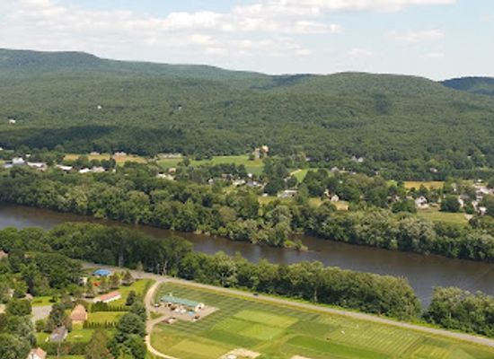 massachusetts/berkshires/attraction/buttonball-tree