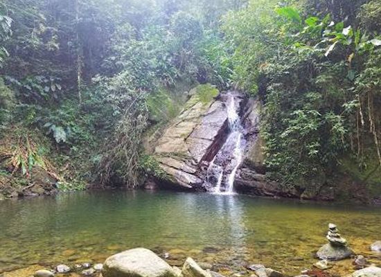 trinidad-and-tobago/tobago/attraction/castara-waterfall