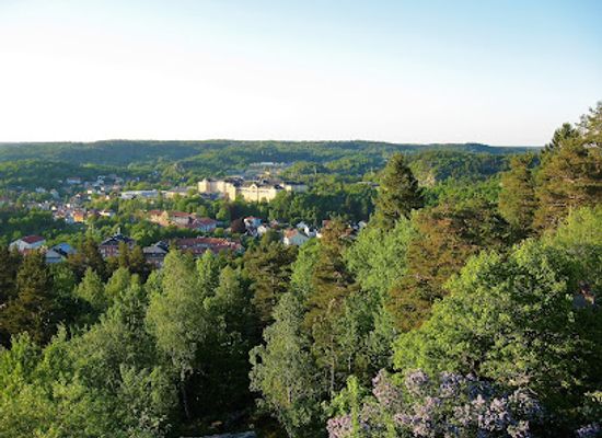 sweden/vastergotland/attraction/tureborg-castle