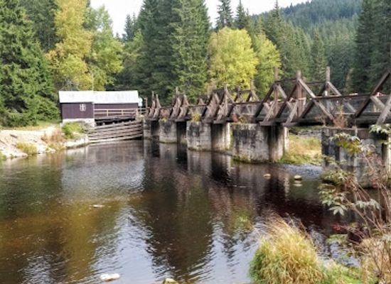 czechia/sumava-national-park/attraction/hradlovy-most-rechle