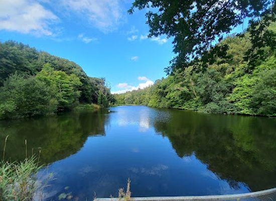 ireland/county-kilkenny/attraction/castlecomer-discovery-park
