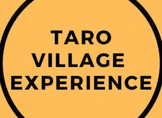 indonesia/bali/attraction/taro-village-experience