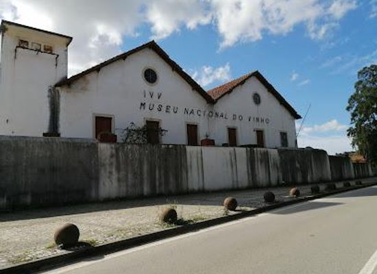 portugal/ribatejo/attraction/museu-do-vinho-de-alcobaca