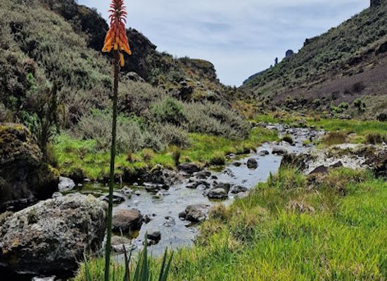 uganda/elgon/attraction/mount-elgon-hot-spring