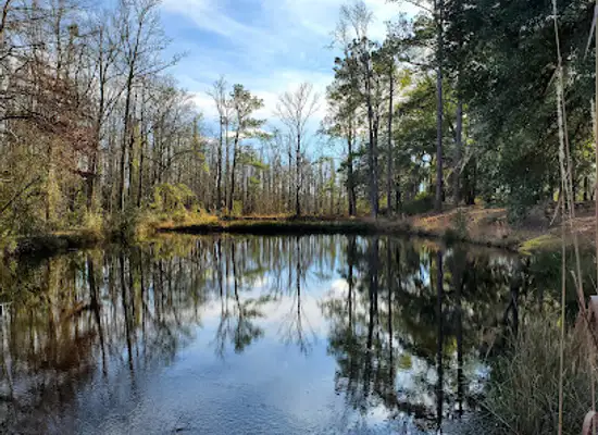 south-carolina/pee-dee/attraction/lee-state-park
