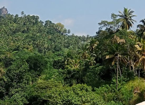 sri-lanka/kegalle-district/attraction/uthuwankanda-viewpoint