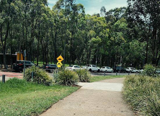 australia/south-west/attraction/treetops-adventure-western-sydney