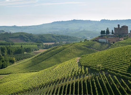 italy/langhe/attraction/pio-cesare