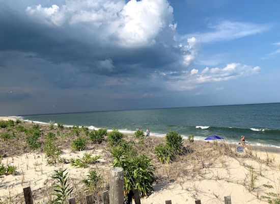delaware/delaware-seashore-state-park/attraction/coin-beach