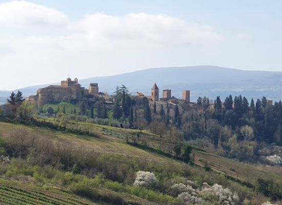 italy/tuscany/attraction/parco-di-canonica