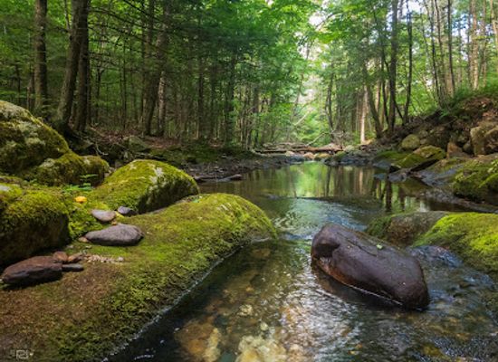 massachusetts/western-massachusetts/attraction/sanderson-brook-waterfall