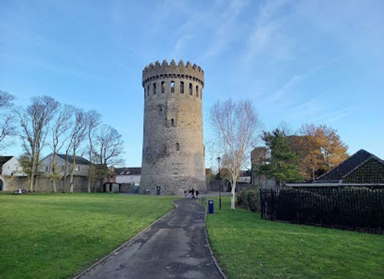 ireland/county-tipperary/attraction/nenagh-castle