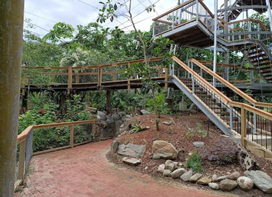 australia/cairns/port-douglas/attraction/wildlife-habitat