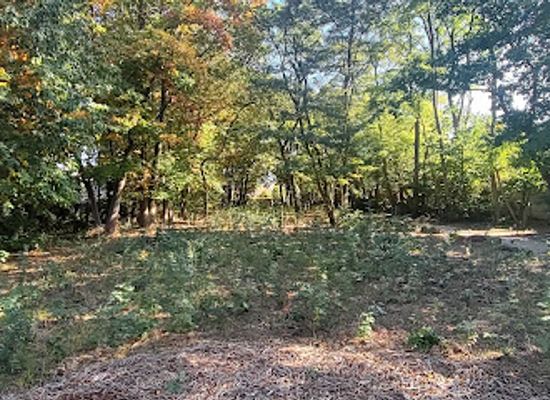 belgium/mechelen/attraction/stiltebos