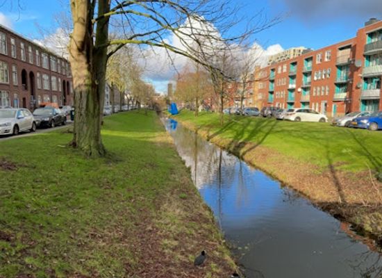 netherlands/the-hague/attraction/fontein-theepot
