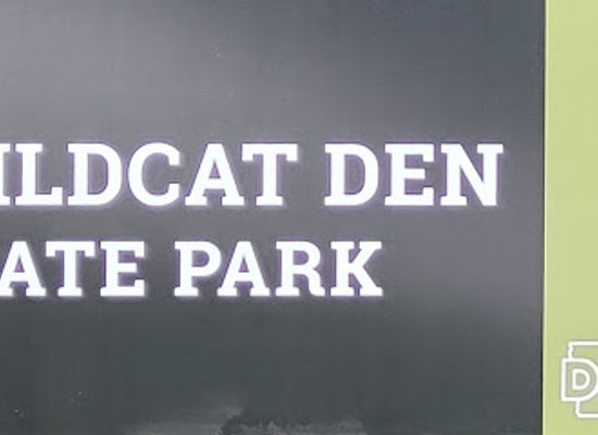 iowa/southeast-iowa/attraction/wildcat-den-state-park