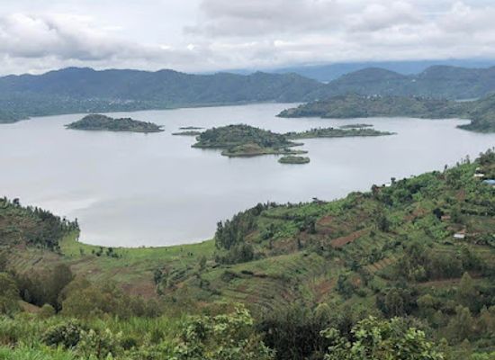 rwanda/gitarama/attraction/rwanda-gorilla-safari