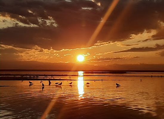 mongolia/ikh-nuur-basin/attraction/uvs-nuur