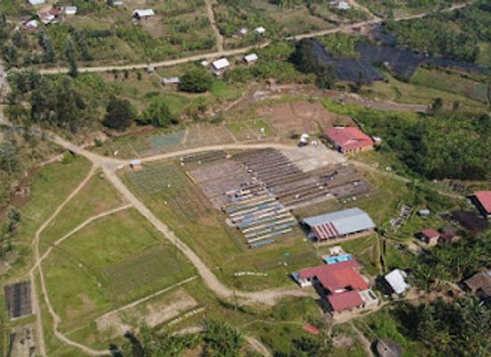 rwanda/karongi/attraction/coffee-tourism-by-kopakakidutegure-coffee-farmers-cooperative