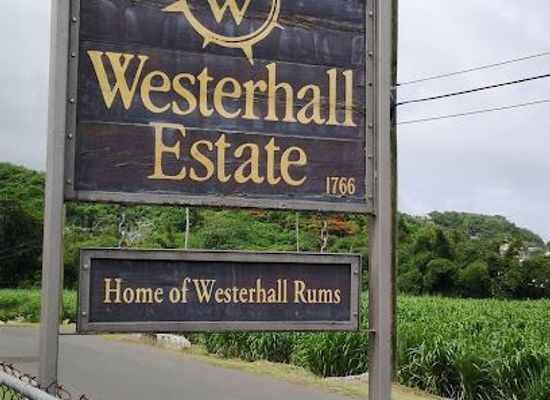 grenada/saint-george/attraction/westerhall-estate-ltd