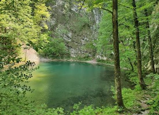 slovenia/upper-carniola/attraction/wild-lake