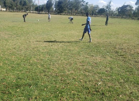 kenya/eldoret/attraction/forestry-grounds
