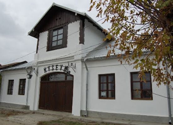 romania/botosani/attraction/museum-of-archeology