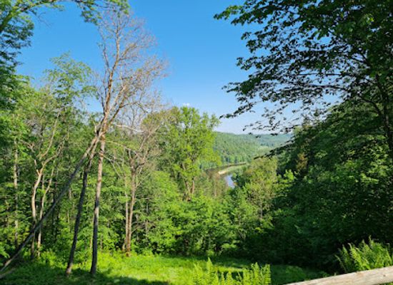 latvia/teici-nature-reserve/attraction/emperor-s-chair